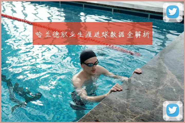 哈兰德职业生涯进球数据全解析